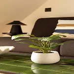Charming Studio A C - 2P- Montorgueil
